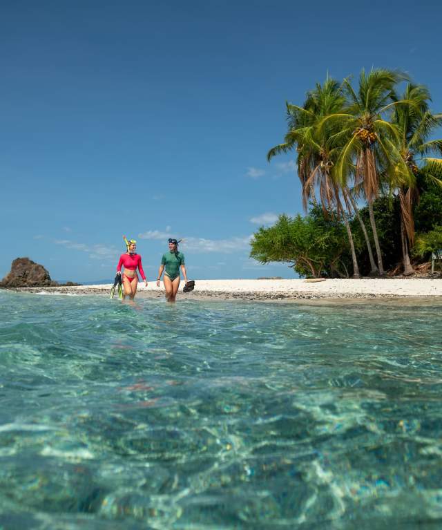 Tourists walking in crystal-clear waters on a Pacific beach in Panama surrounded by palm trees