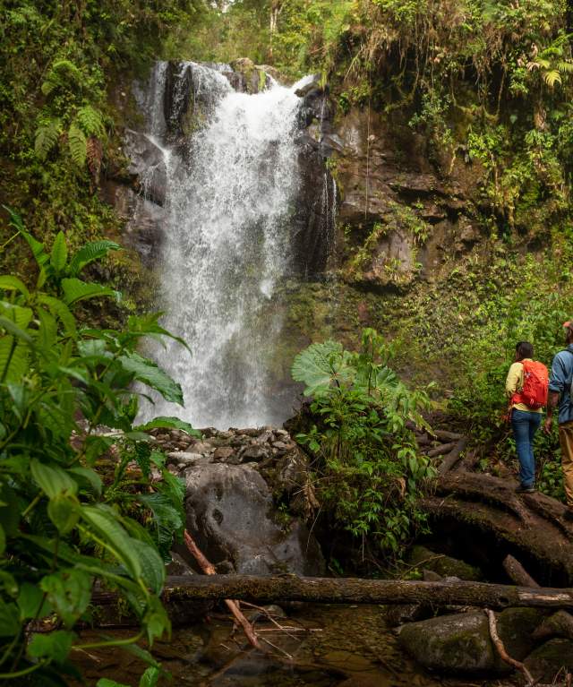 Couple admiring the Lost waterfalls at Boquete, Chiriqui province