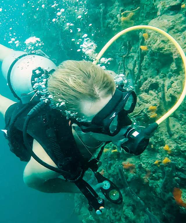 Diving near corals, Coral Cay Bocas del Toro Province, Panamá