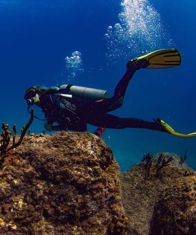 A person diving near beautiful corals in a blue and turquoise sea