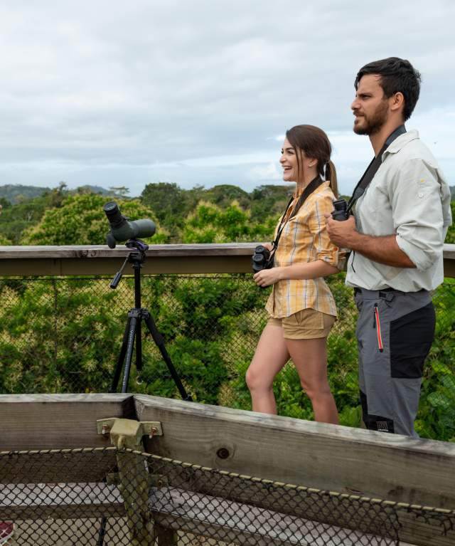 Tour operator at Birdwatching tower in Gamboa Rainforest Reserve, Panama City