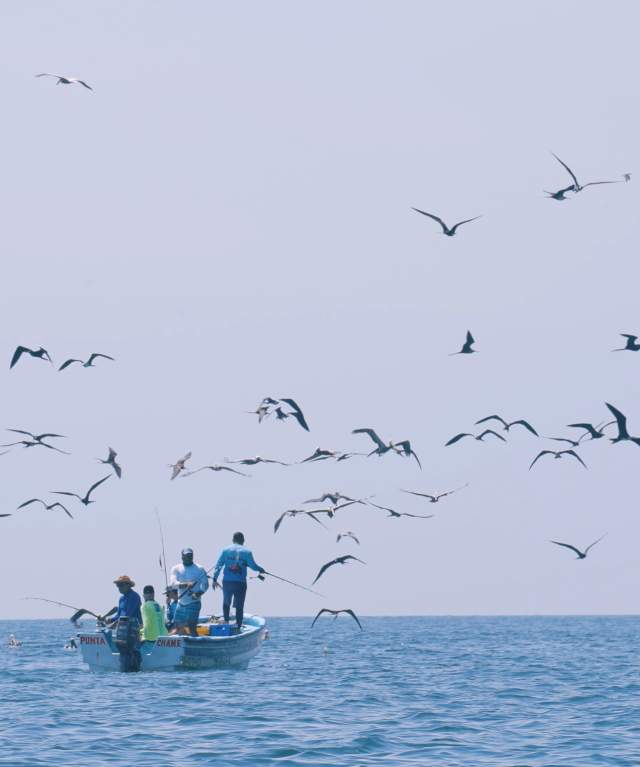 Group boat fishing at Estiva Island, with lots of birds in a sunny day