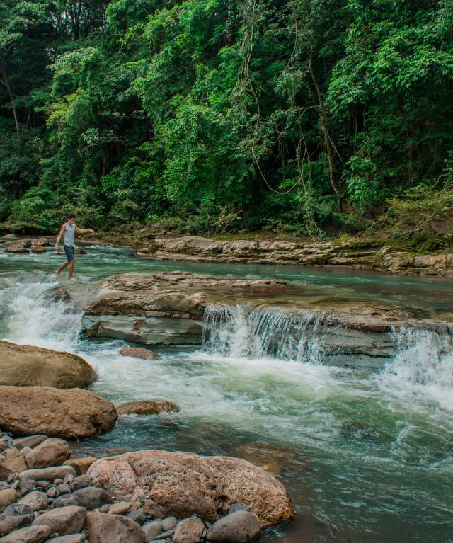 Person walking over rocks in a crystal-clear river surrounded by tropical rainforest