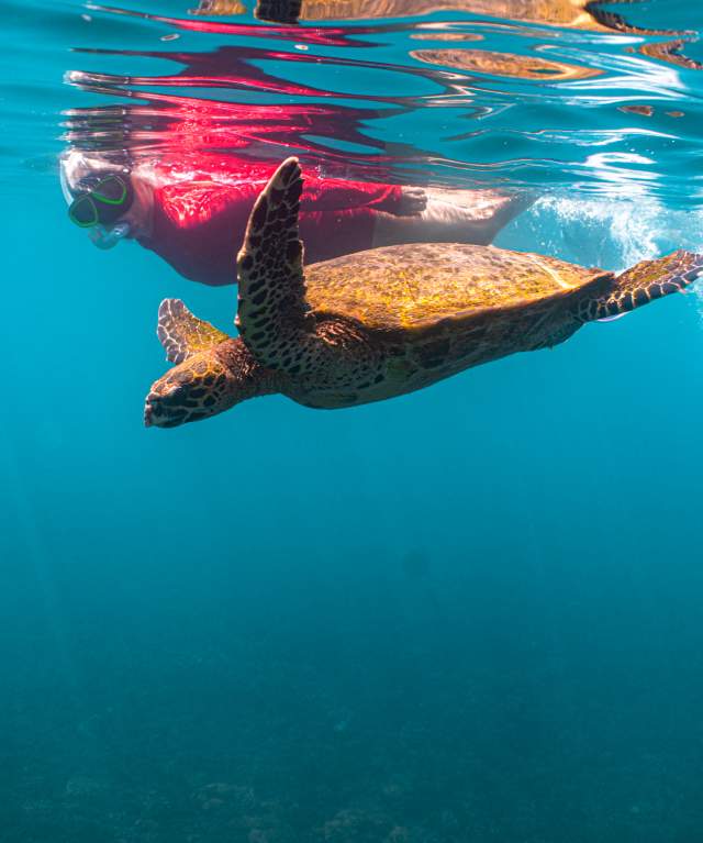 Coiba National Park, Gulf of Chiriquí, Panamá