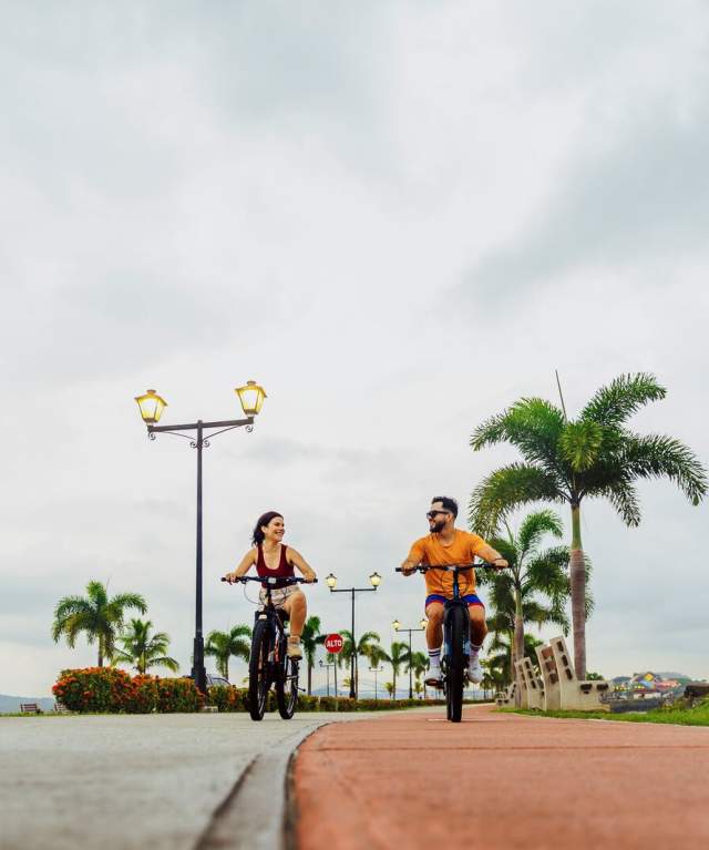 A couple rides bicycles on the Amador Causeway, Panamá City, with the palm-lined road visible, the sea on the side, on a sunny day.