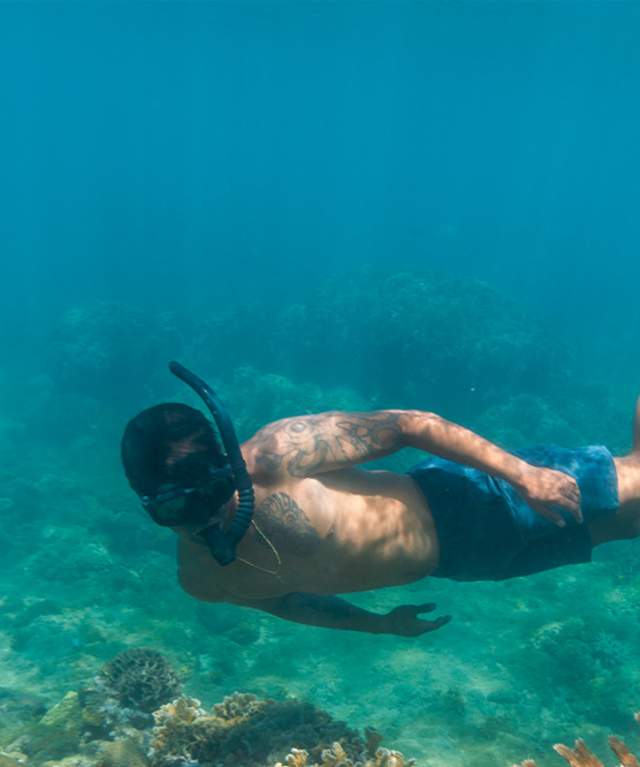 A diver immersed in the aquatic environment, swimming near beautiful coral.