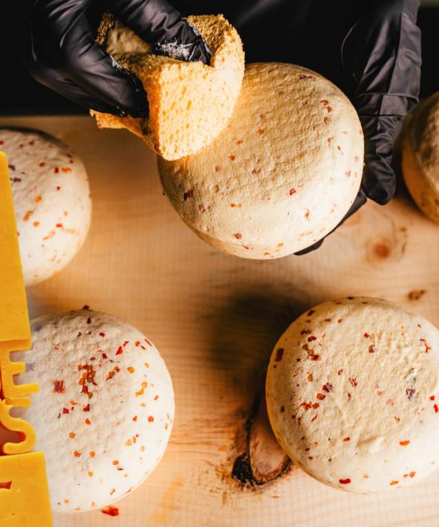 Big Cheese Days August