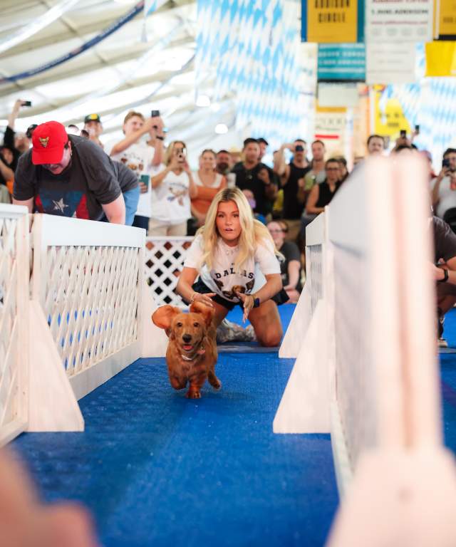 Fast Dog