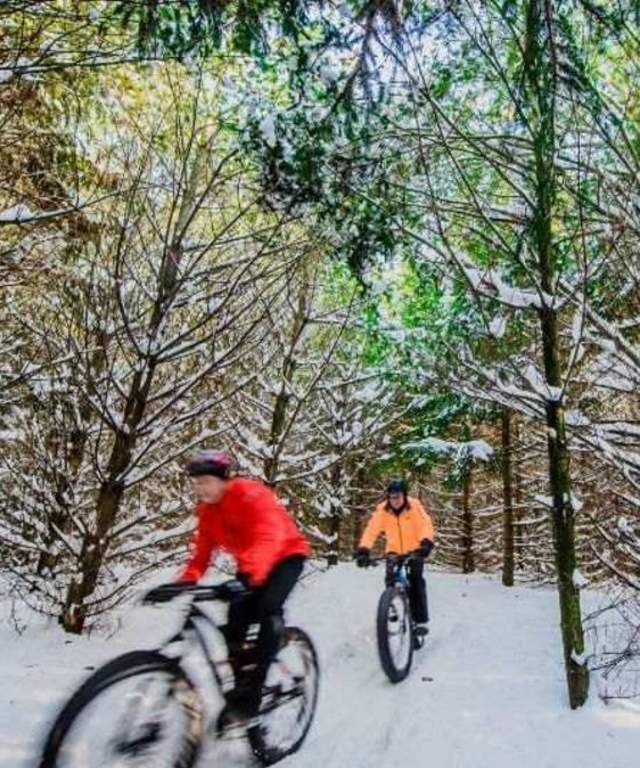 People biking in the snow
