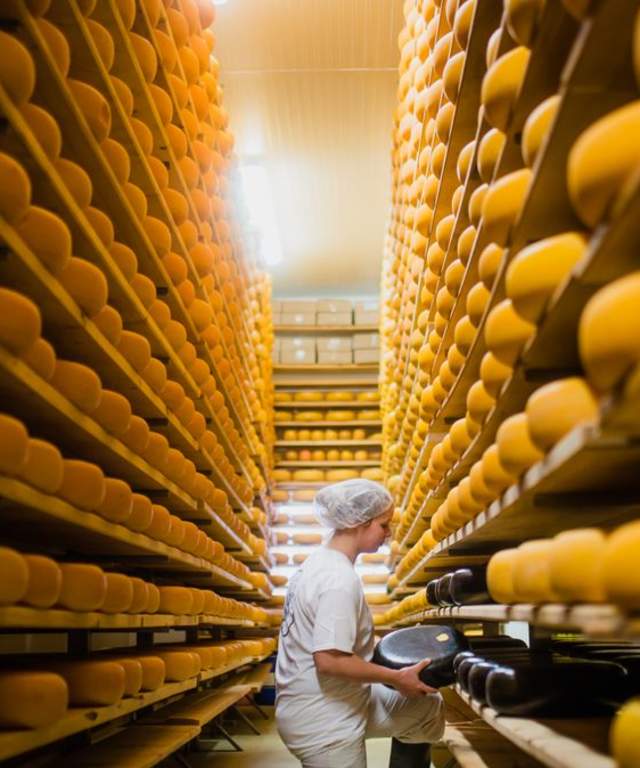 Cheese storage