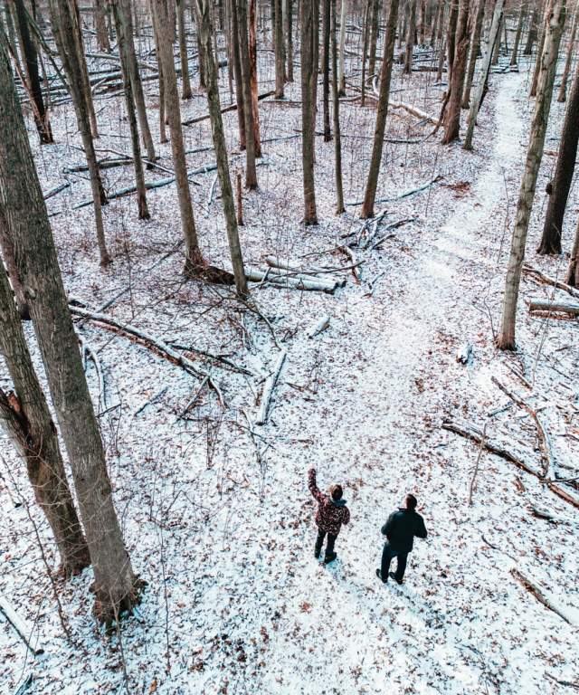 winter forest trail