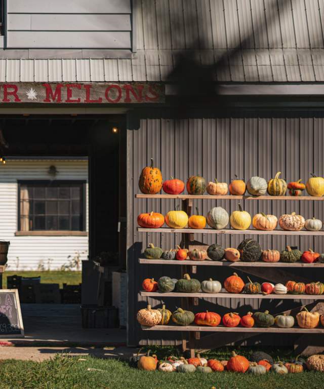 Thames River Melons Pumpkins