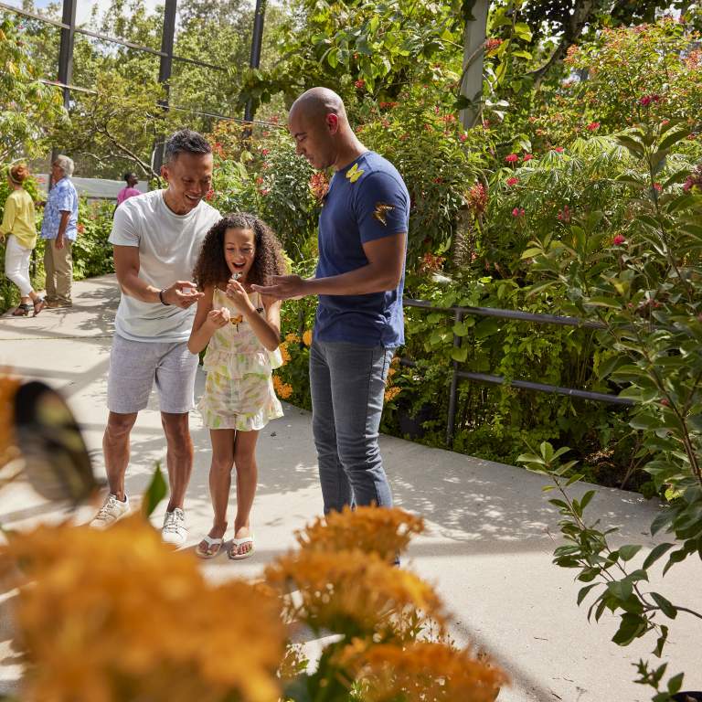 Butterfly World family