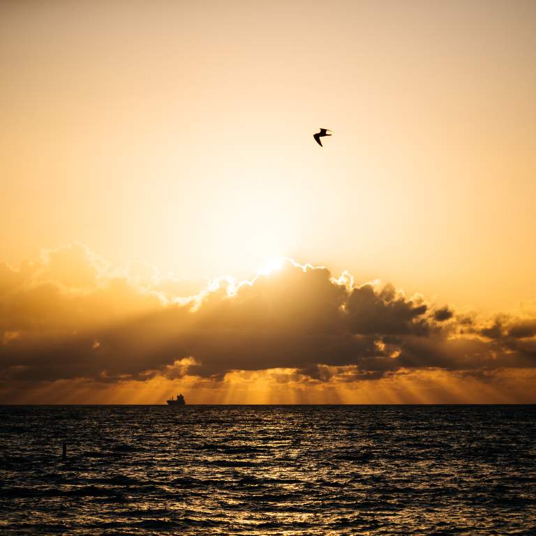 Fort Lauderdale Beach