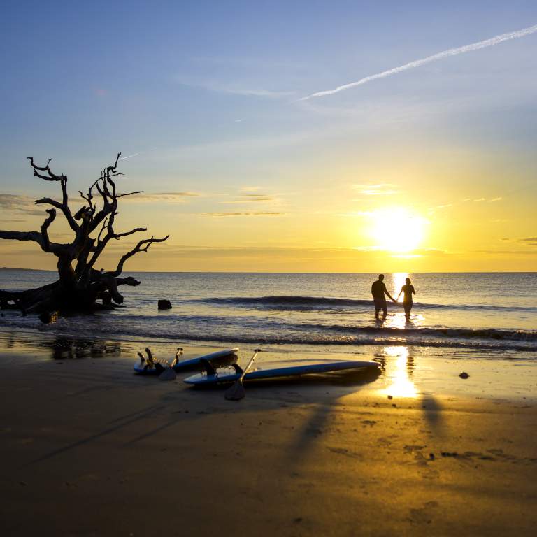Driftwood Beach on Jekyll Island