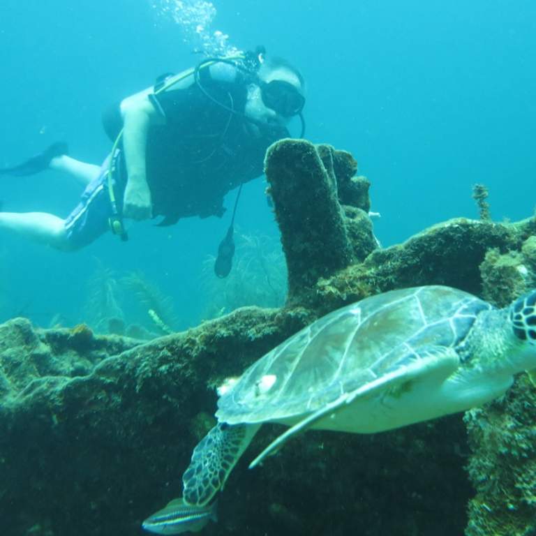 Scuba diver swimming next to a sea turtle