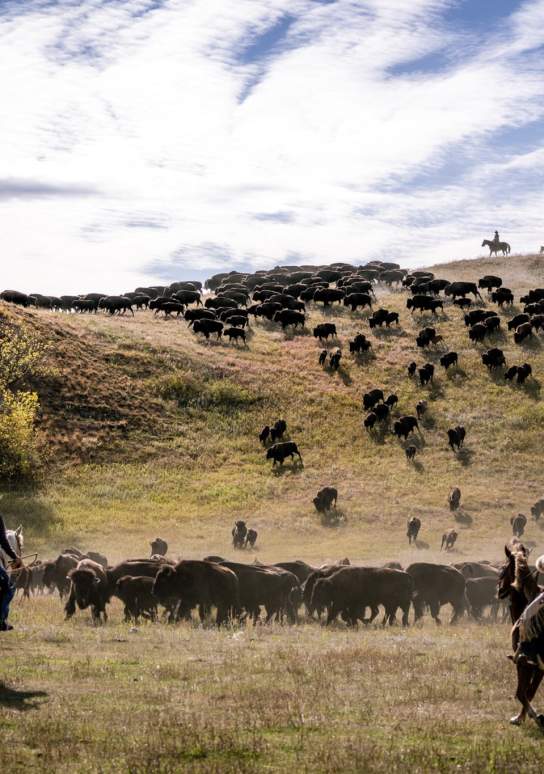 Roundup and Wind Down: The Black Hills & Badlands in September
