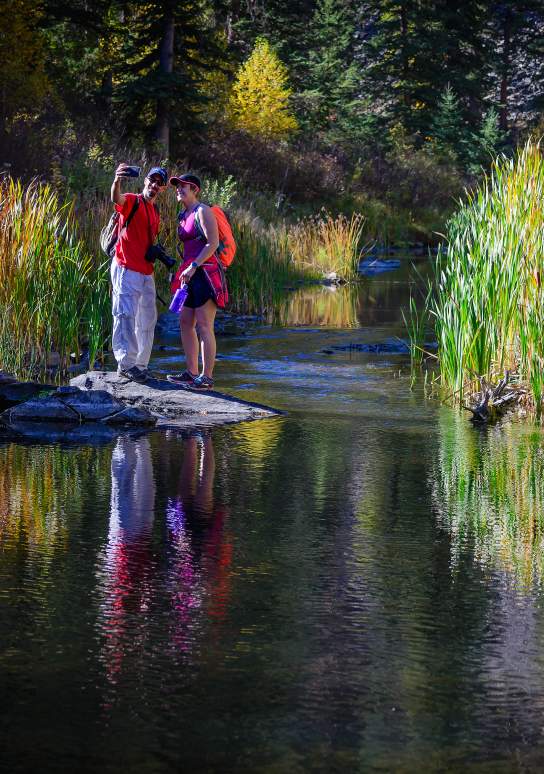 Your Guide to Fall Colors in the Black Hills and Badlands
