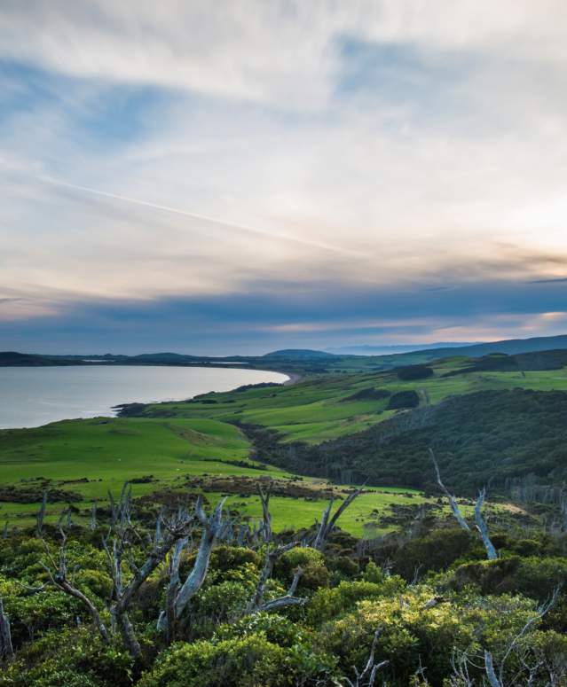 Mores Scenic Reserve Lookout, Western Southland