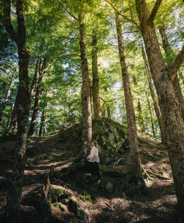 Fiordland National Park