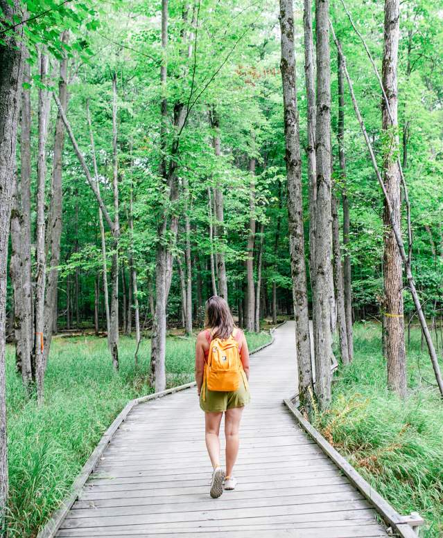 Insta-worthy Spots on the Green Circle Trail