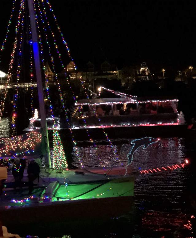 It's dark, but a sailboat is covered in Christmas lights and lights up against the dark water. There's a Christmas tree, string lights, and a dolphin.