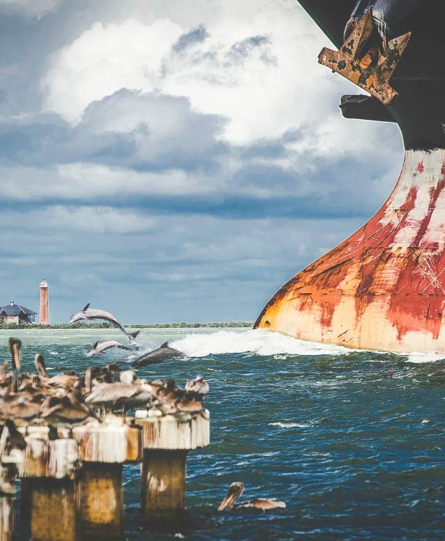 The bottom left quadrant shows a flock of pelicans standing on posts. Behind them in the background is a red lighthouse. On the right is part of a giant barge with dolphins jumping in front of it.