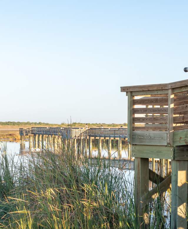 Man taking photos of birds in the birding center, standing on a pier.
