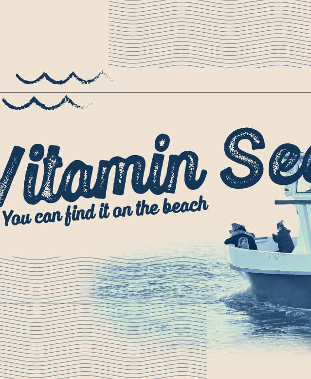 Light blue wash header with a boat. Text reads, "Vitamin Sea. You can find it on the beach."