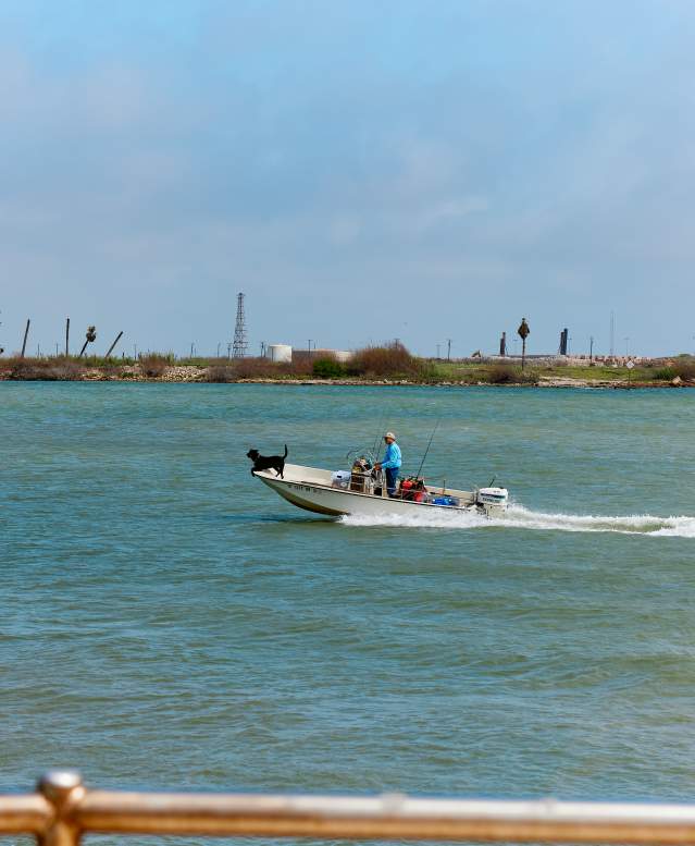 A man in a blue shirt drives a boat across blue water with a black dog at the helm