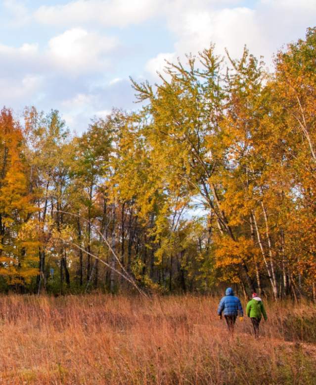 Hike through the Stevens Point Area this fall, including the popular 27-mile Green Circle Trail.