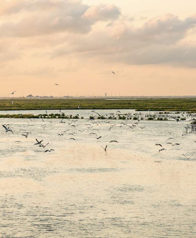 Turning the Tide Views