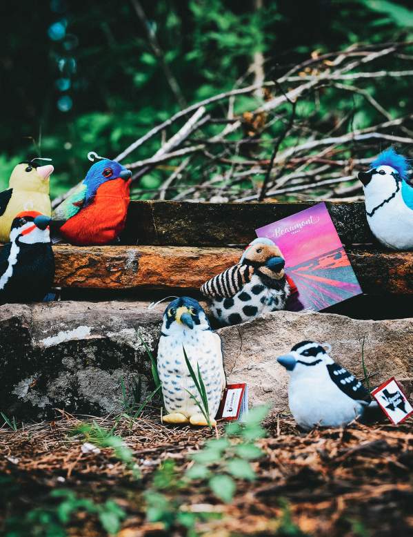 BMT Birdies Outdoors