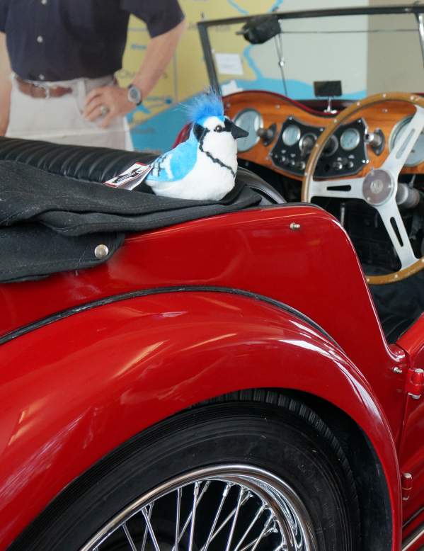 Ben J Birdie on classic car