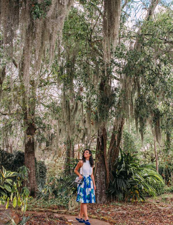 Woman looking up at the trees in Big Thicket