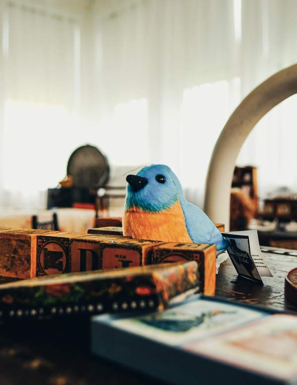 Homer Birdie in museum