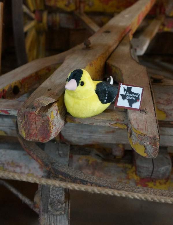 Patillo Birdie on wagon