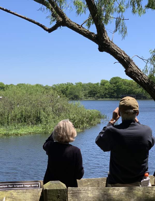 Family bird watching in Beaumont, TX