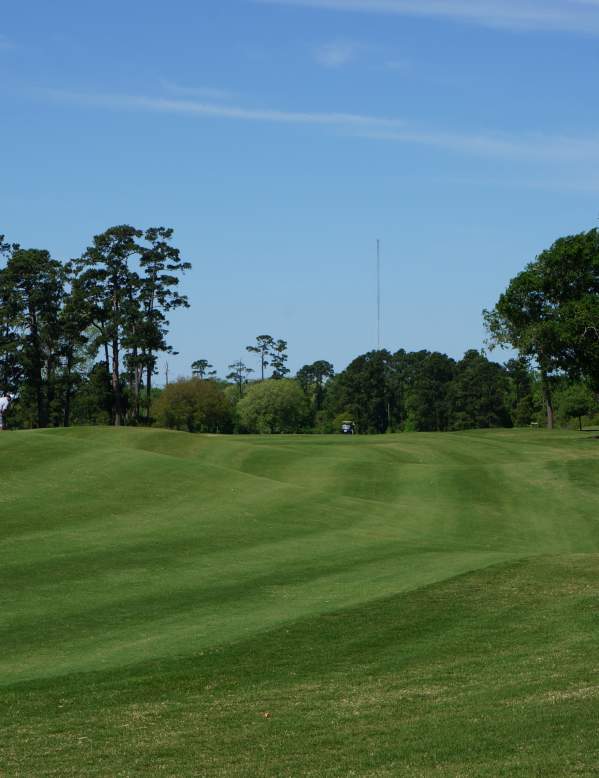 Golf course