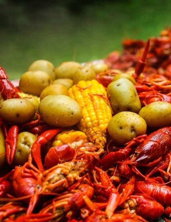 Crawfish have been prepared with corn-on-the-cob and potatoes for a community-style crawfish feast.