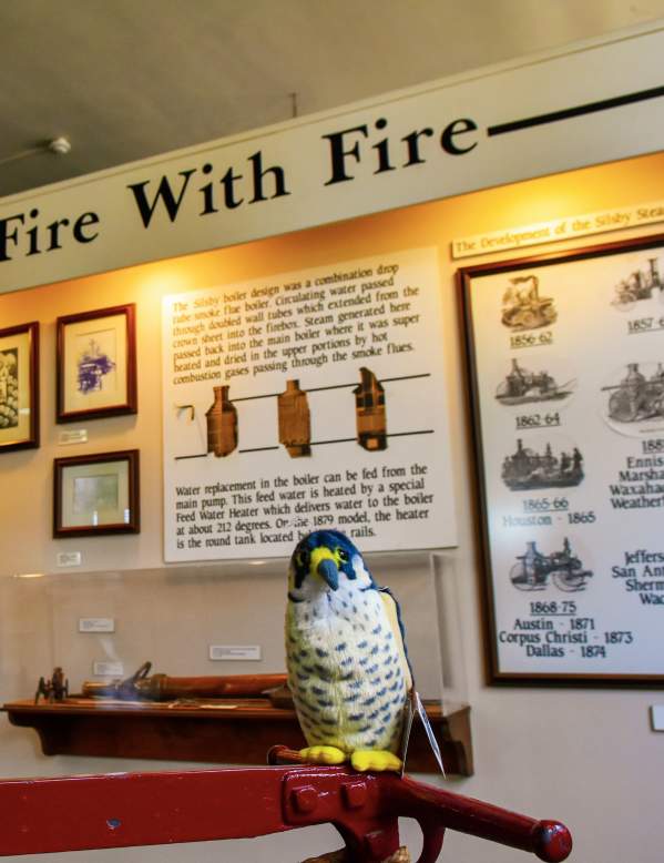 Spot Birdie in Fire Museum