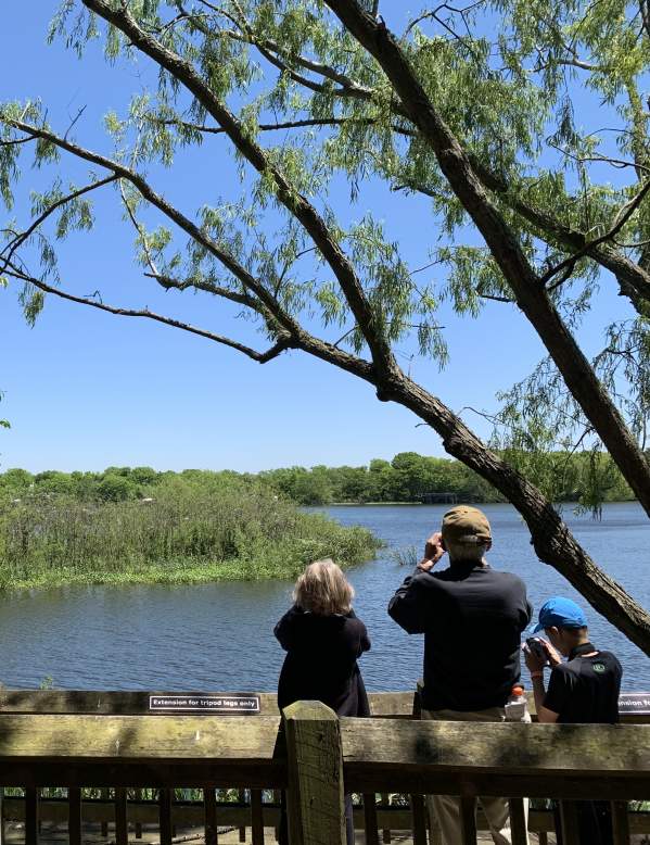 A family watching birds at the Rookery