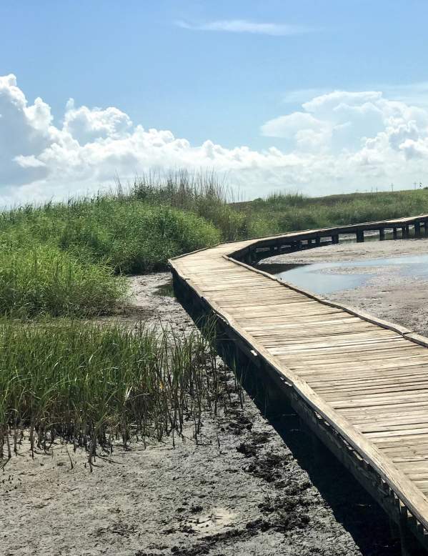 Walking Bridge at Sea Rim in Beaumont, TX