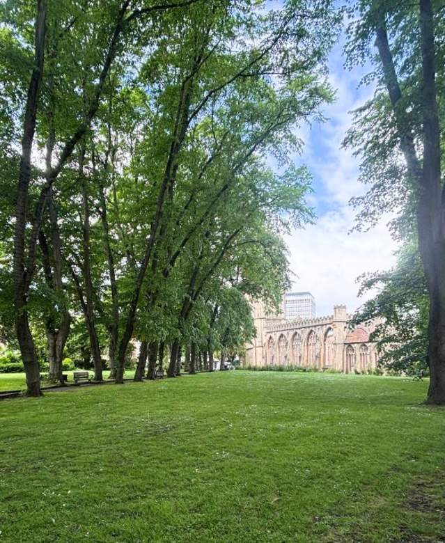 A photo of a grassy lawn area, with mature leafy trees running along each side and a church ruin at the far end in the distance.