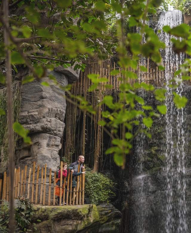Omaha's Henry Doorly Zoo and Aquarium