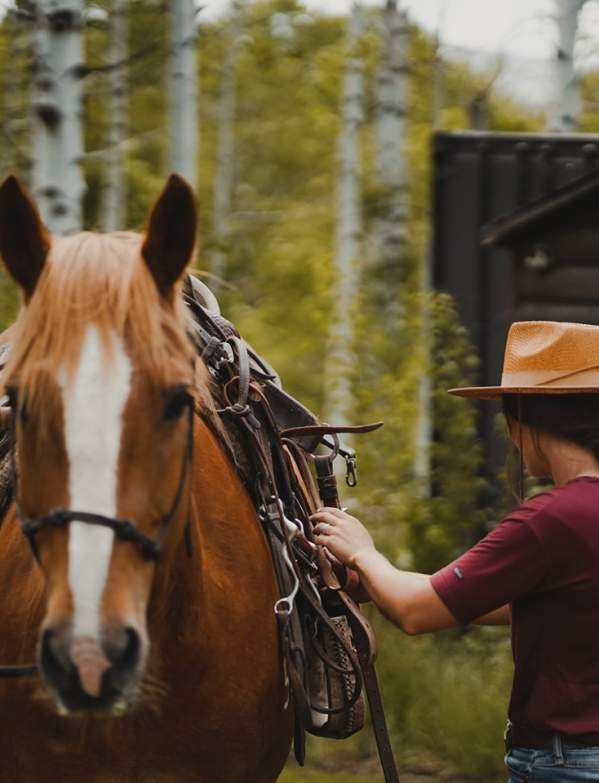 Woman next to horse in the wilderness