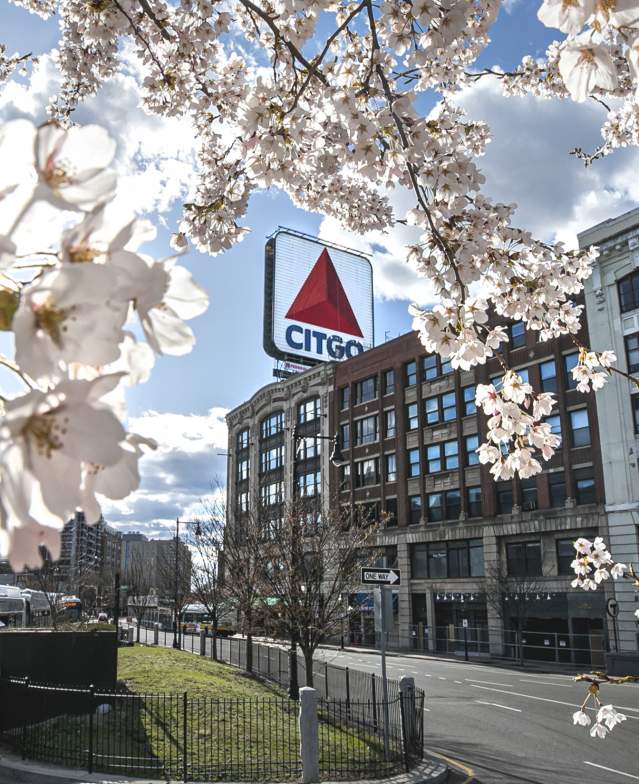 CITGO sign in Spring