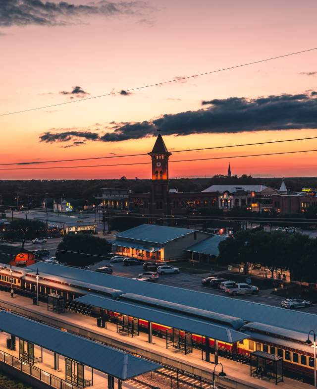 Grapevine at Sunset