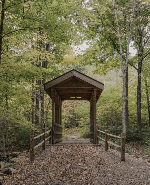 A leaf strewn path in front of a covered bridge on a trail at Ward Pound Ridge Reservation.