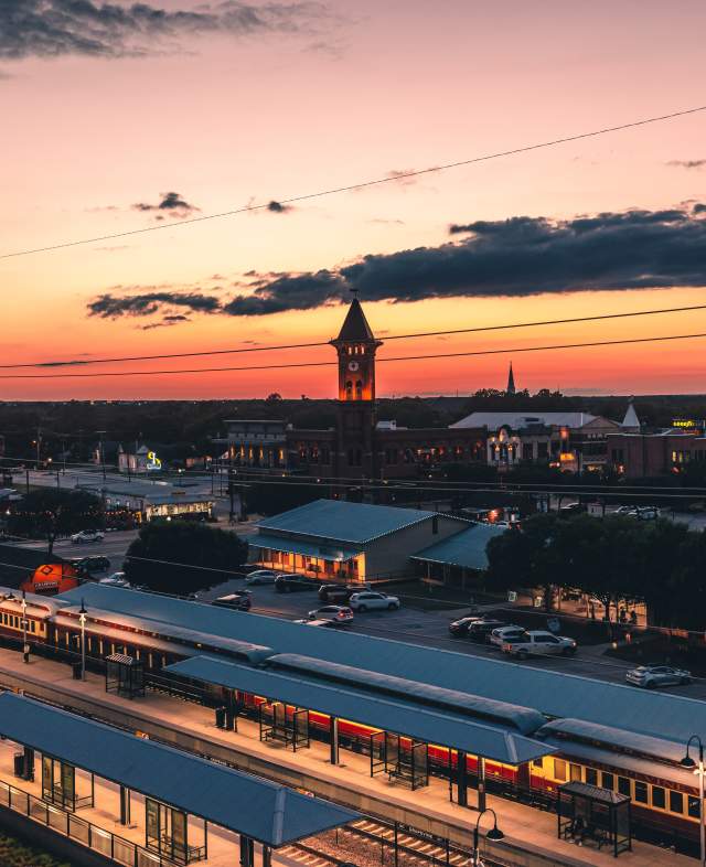 Grapevine at Sunset